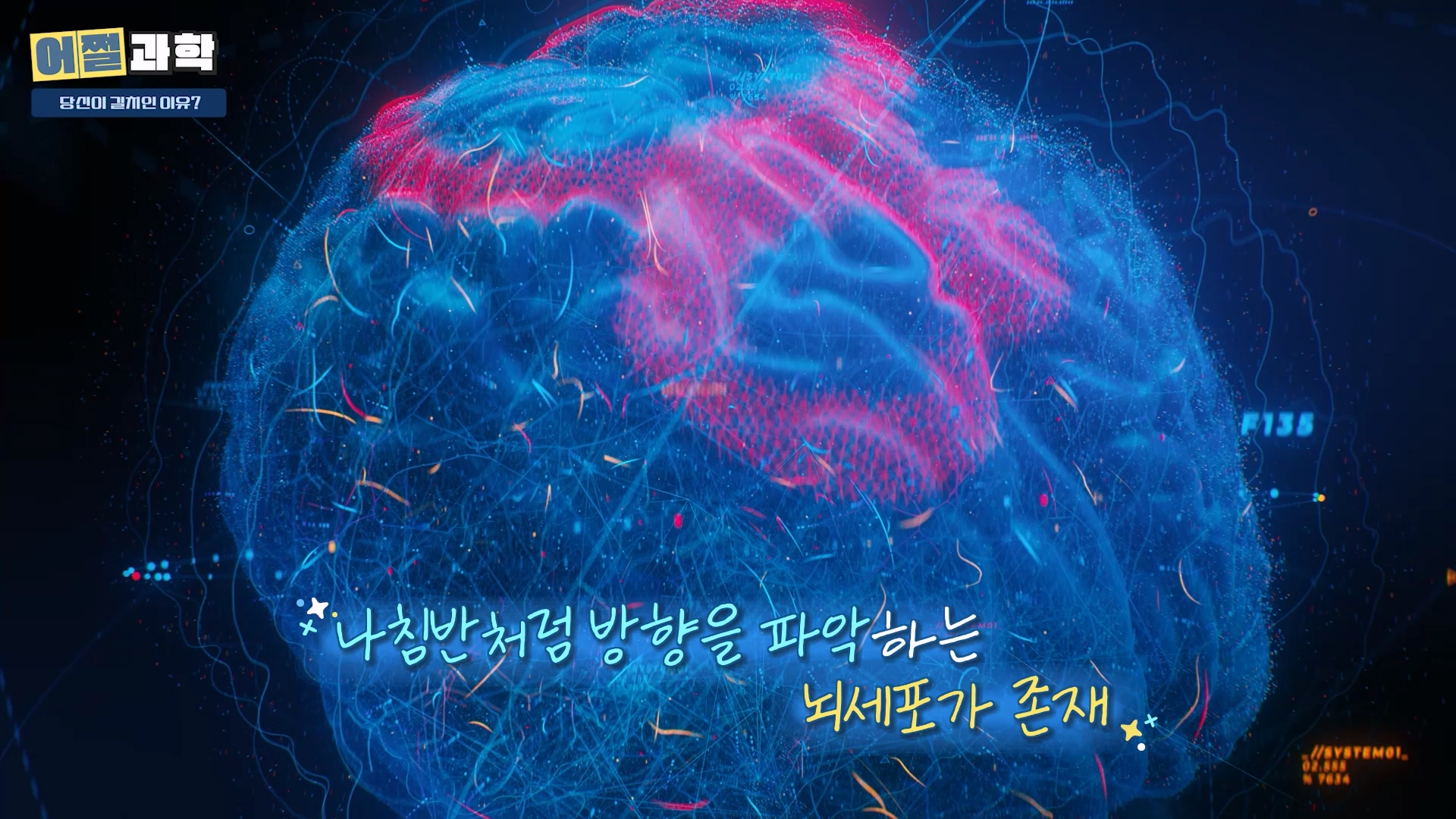 나침반 처럼 방향을 파악하는 뇌세포가 존재